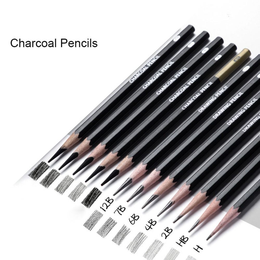Sketching Charcoal Set - Professionele grafiet gemengde schetspotlood schilderbenodigdheden houtskoolpotloden