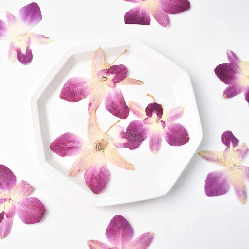 Art Craft Flower - 4 stuks, echte geperste vlinderorchideebloemen, doe-het-zelf