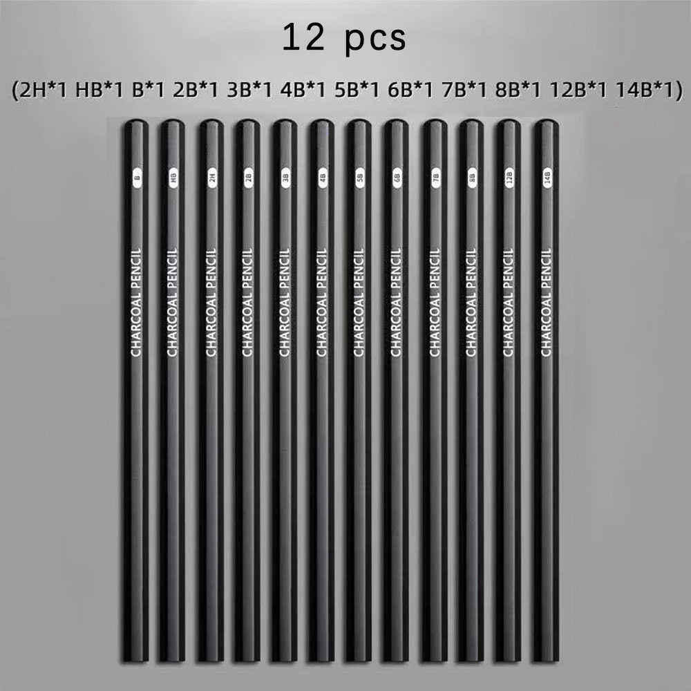 Sketching Charcoal Set - 12 stuks schetspotloden voor studenten, beginnersset
