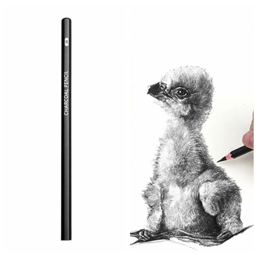 Grafiet Gemengd Schetspotlood  - Sketching Charcoal Set recensie en prijs