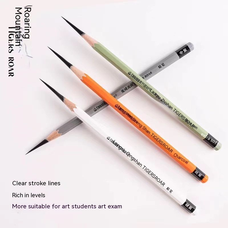10 Pack Schets Zwart Houtskool - Sketching Charcoal Set recensie en prijs