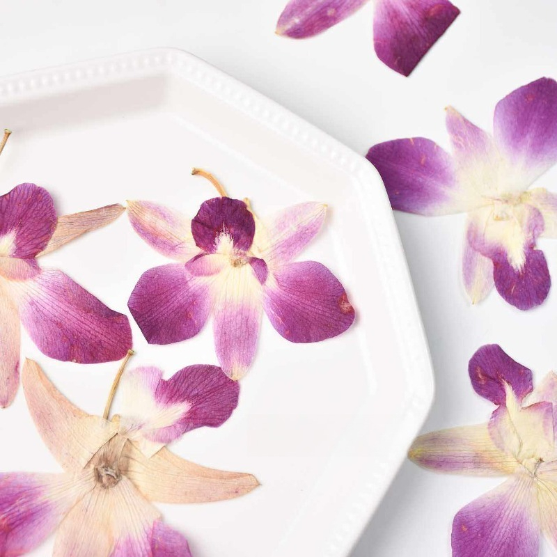 4 stuks, echte geperste vlinde - Art Craft Flower recensie en prijs