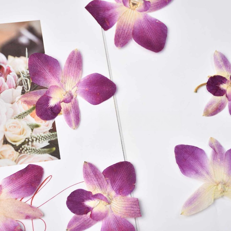 4 stuks, echte geperste vlinde - Art Craft Flower recensie en prijs