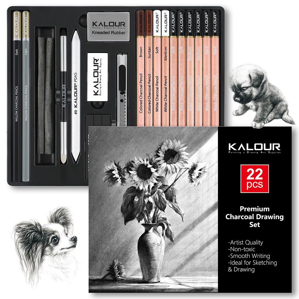 KALOUR 25/22pcs Schetspotlood  - Sketching Charcoal Set recensie en prijs