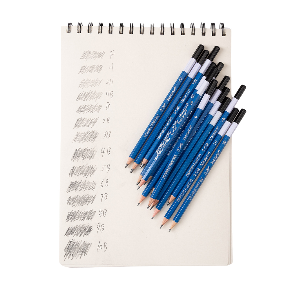 14 Stuks Professionele Schets  - Sketching Charcoal Set recensie en prijs