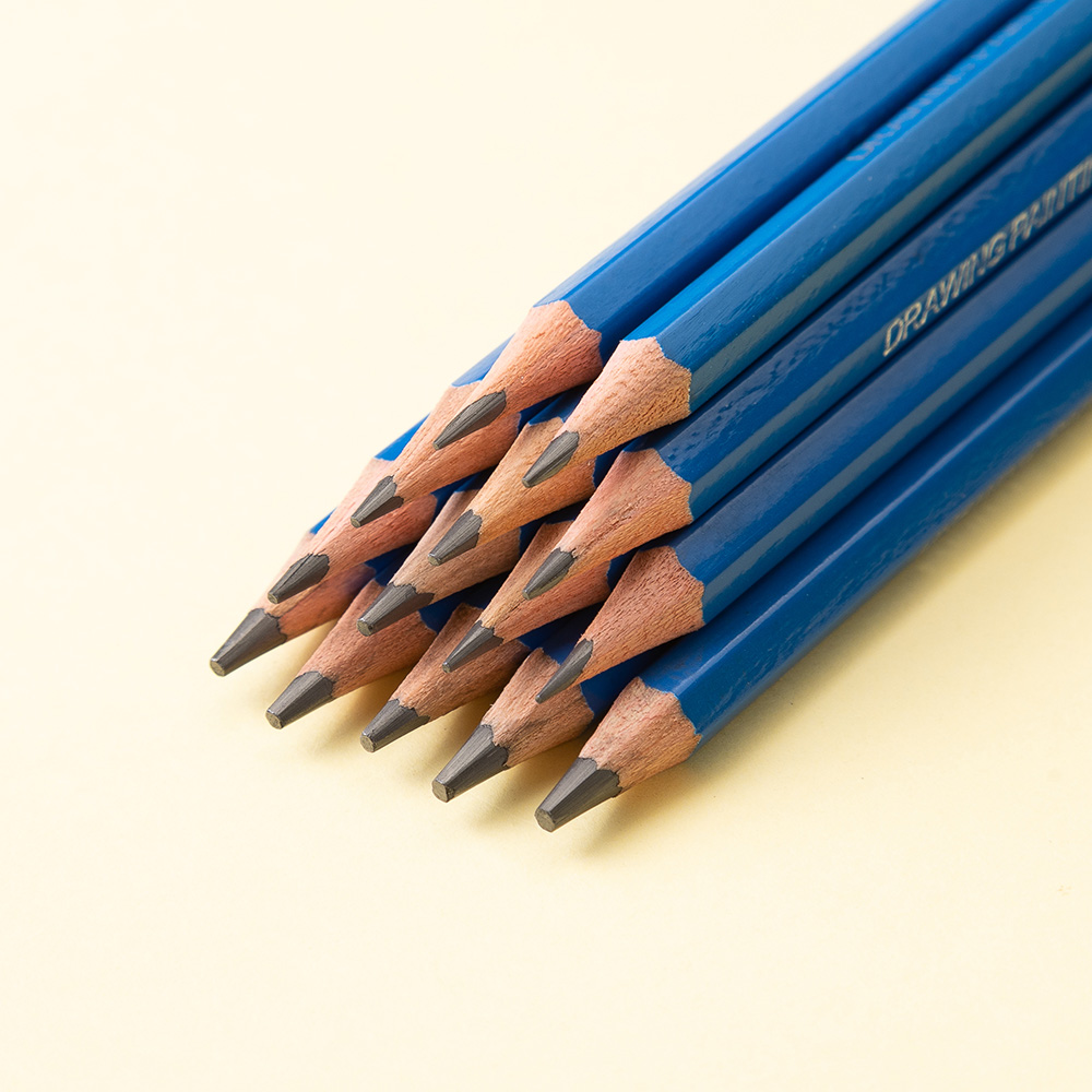 14 Stuks Professionele Schets  - Sketching Charcoal Set recensie en prijs