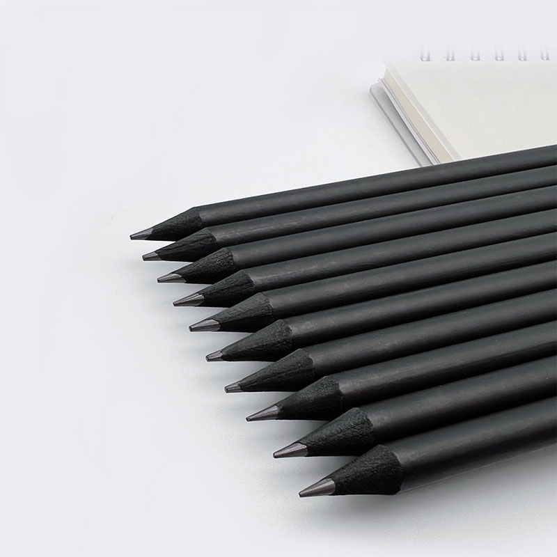 Professionele houtloze houtsko - Sketching Charcoal Set recensie en prijs