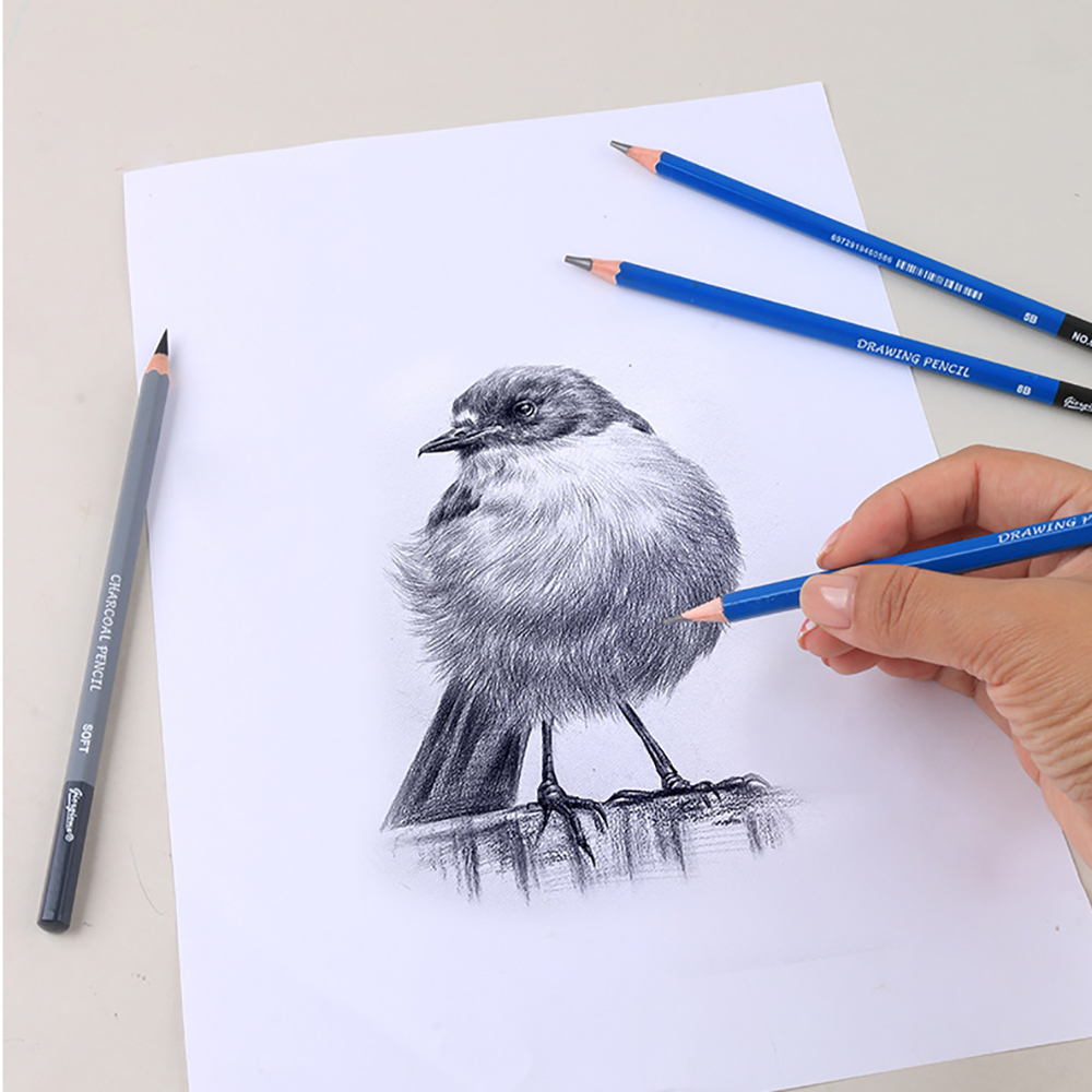 17-delige schetspotloodset, ho - Sketching Charcoal Set recensie en prijs
