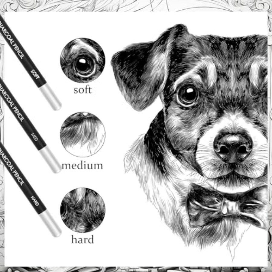 36 stuks professionele houtsko - Sketching Charcoal Set recensie en prijs
